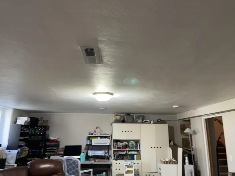 Unfinished basement family room used for storage, with wire shelving, bare walls, and dated lighting