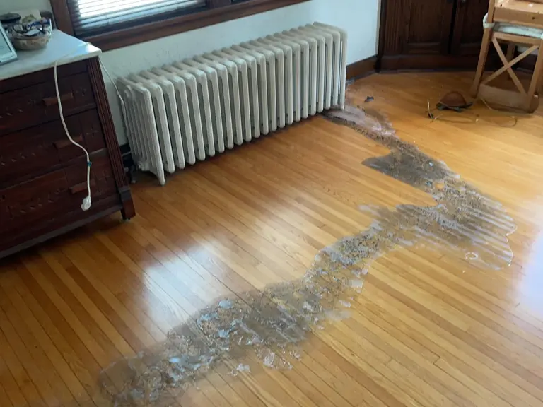 Gray oily sludge from a cracked radiator streaking across the hardwood floor of a 1920s dining room, beside a white column radiator and a leaded-glass built-in cabinet