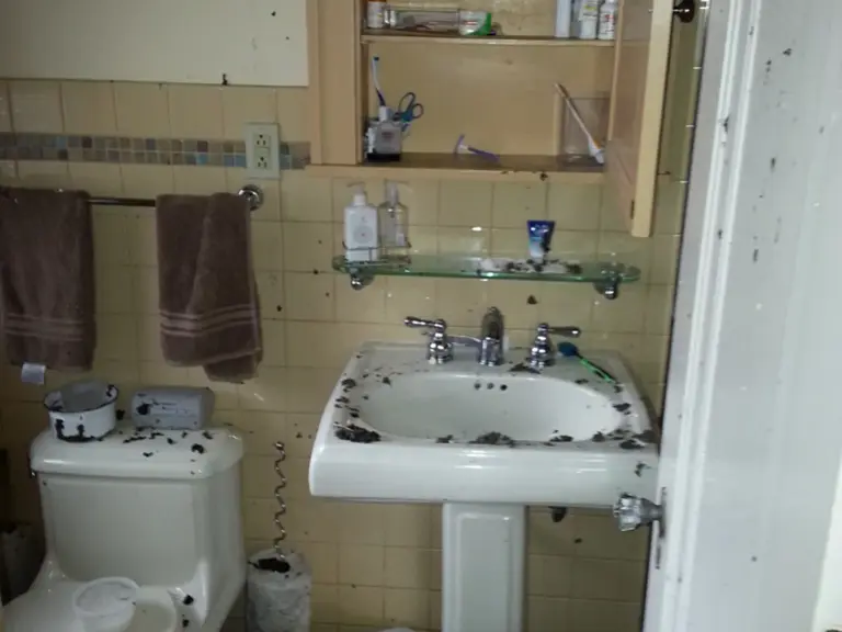 Soot-covered pedestal sink and toilet in the powder room after the fire