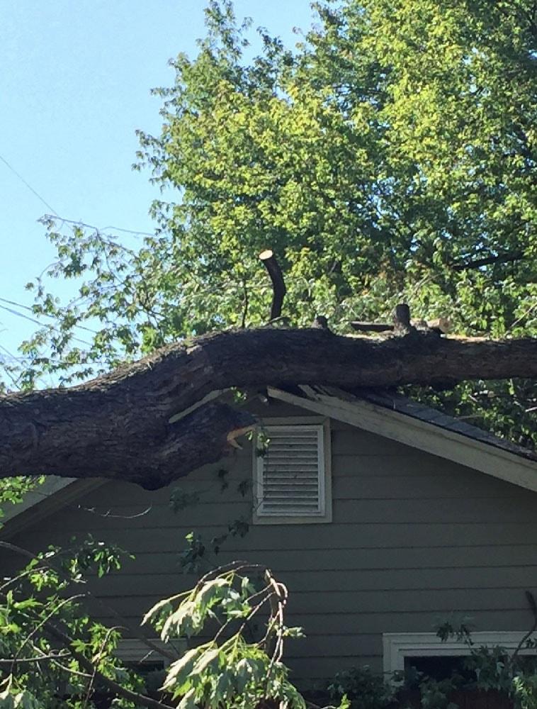 Storm Damage Restoration After a Tree Fell Through the Roof