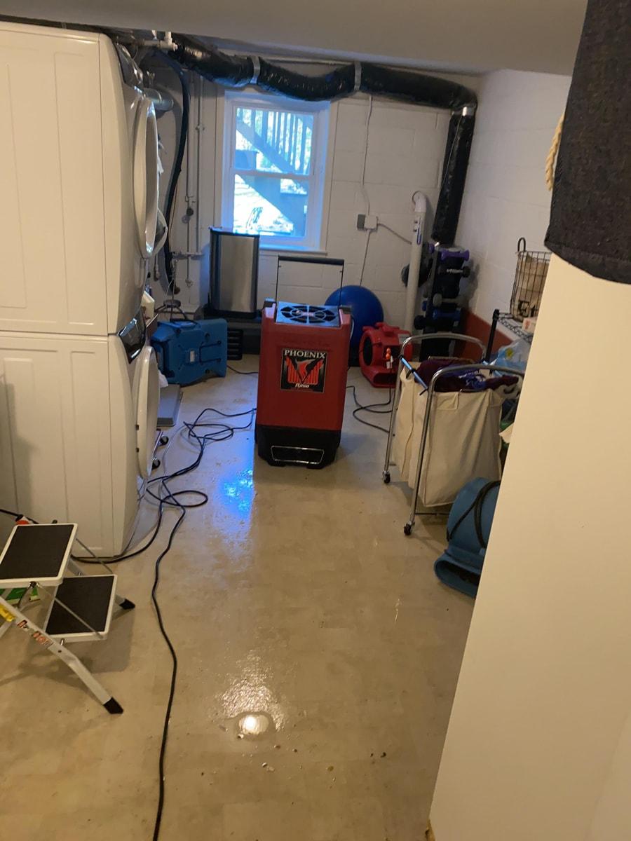 Sewer Backup Restoration in a Basement Bathroom & Laundry