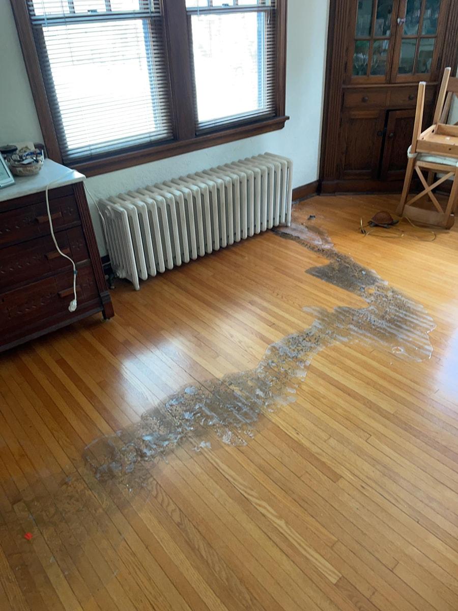 Frozen Pipe & Radiator Failure Restoration