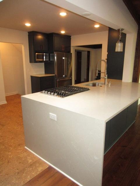Minneapolis Home Remodel