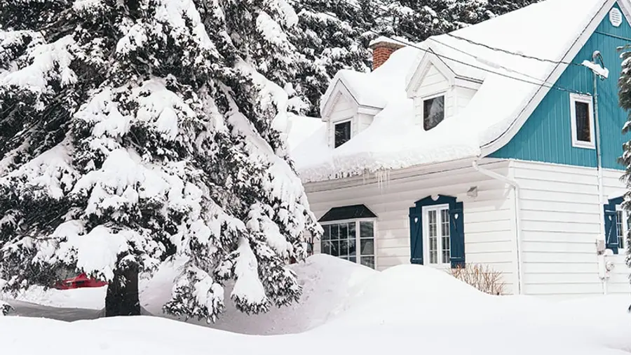 A Minnesota house and evergreens buried under deep winter snow
