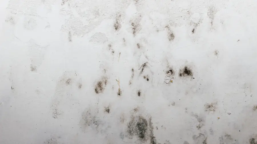 Wall with scattered black mold spots on a textured white surface, creating an uneven pattern. The image conveys a sense of neglect and decay.
