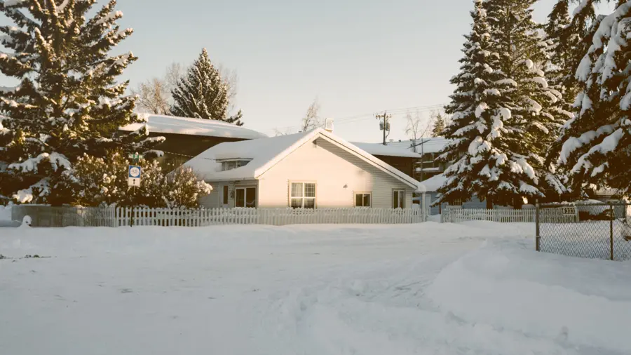 Snowy landscape with a cozy house surrounded by snow-covered pine trees and a white picket fence, under a clear, serene winter sky.