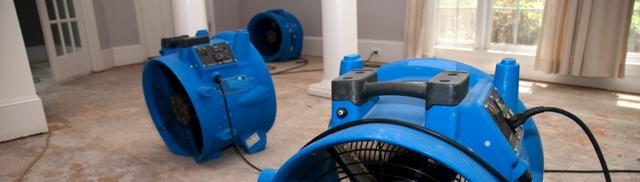 Water Damage Basics