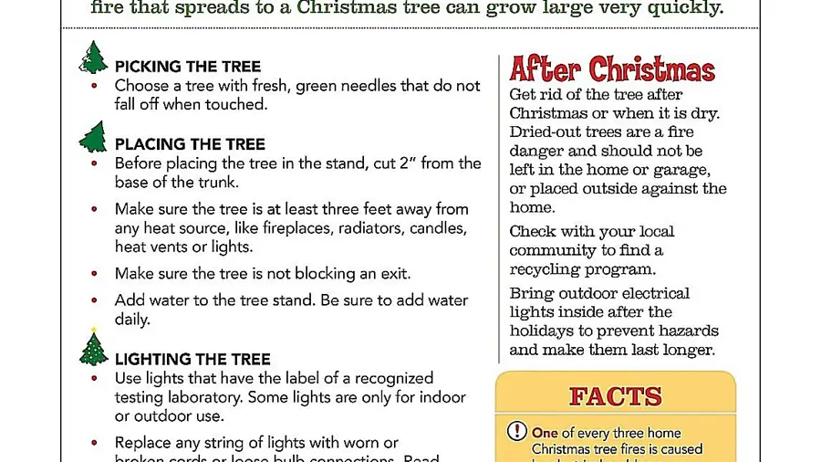 Christmas Tree Safety Tips