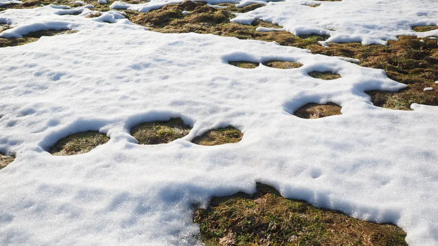 3 Steps To Prevent Home Flooding When The Snow Melts