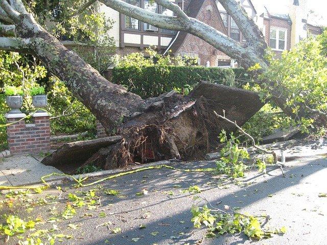 Tornado Season – How to Be Prepared & Handle Property Damage