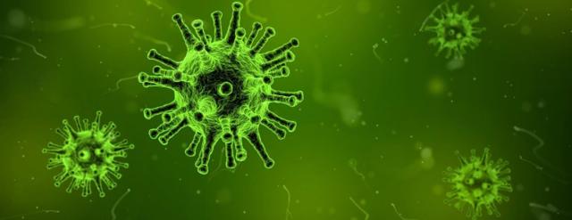 About Our Commercial Disinfection Services