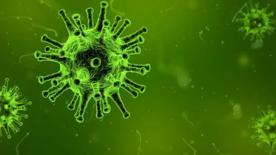 An illustration of virus particles on a green background